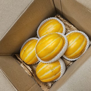 성주 참외 리뷰 이미지